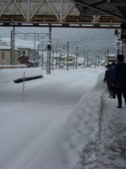 2012.2.2大雪 (5).jpg